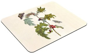 Podkładka Metamorfoza owadów Surinamensium Maria Sibylla Merian 60x40cm