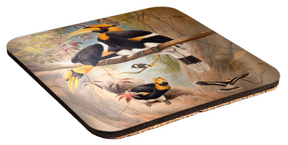 Podkładka pod kubek Concave casque Hornbill Joseph Wolf