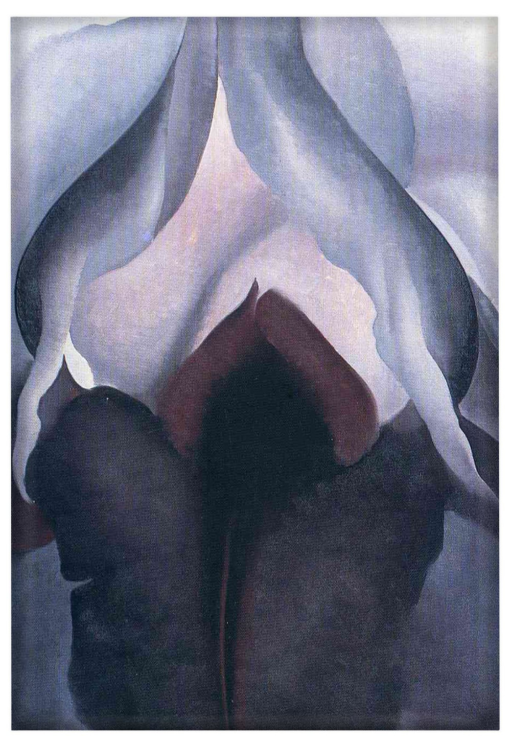 Magnes Czarna Iris III Georgia O’Keeffe