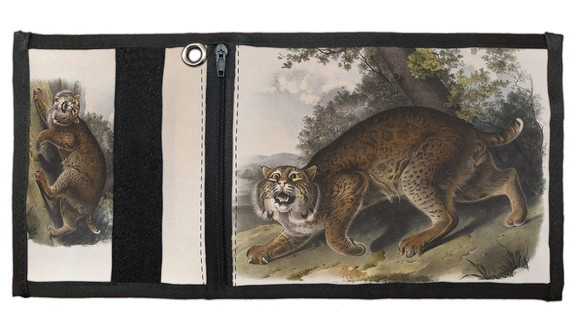 Portfel Common American Wildcat James Audubon