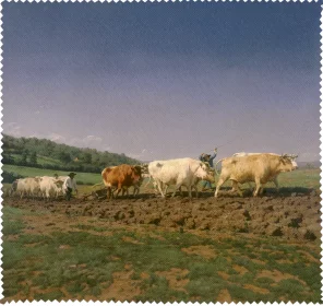 Ściereczka do okularów Orka w Nivernais Rosa Bonheur