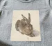 Bluzka damska Młody zając Albrecht Dürer