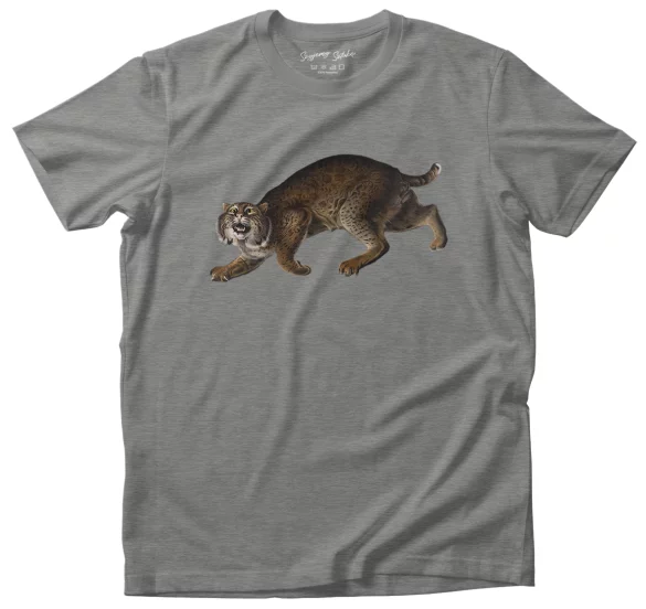 Koszulka Common American Wildcat James Audubon