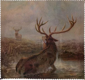 Ściereczka do okularów Interrupted Joseph Wolf