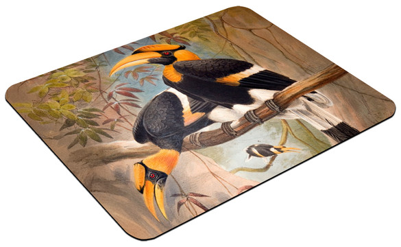 Podkładka Concave casque Hornbill Joseph Wolf 60x40cm