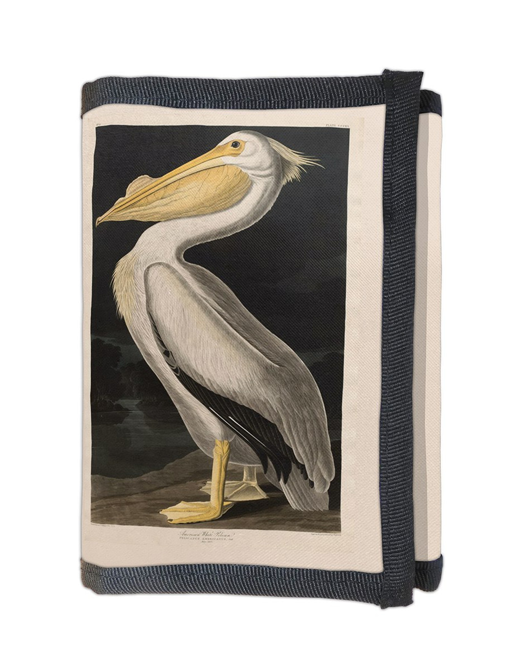 Portfel American White Pelican James Audubon