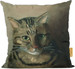 Poduszka Studium głowy kota tabby Louis Wain