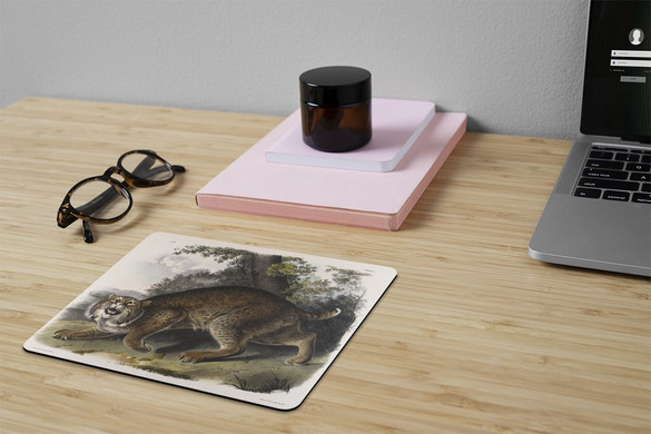 Podkładka Common American Wildcat James Audubon 24x19cm