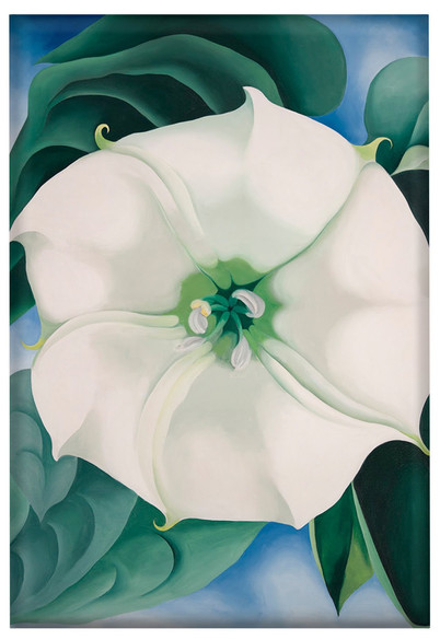 Magnes Jimson Weed/ Biały kwiat Nr 1 Georgia O’Keeffe