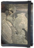 Portfel Księżniczka Łabędzia Mikhail Aleksandrovich Vrubel