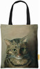 Studium głowy kota tabby