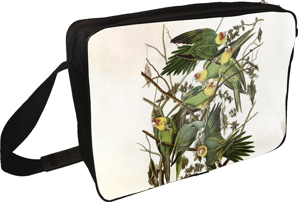 Torba na ramię Carolina Parakeet James Audubon