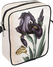 Listonoszka Irys szerokolistny Maria Sibylla Merian