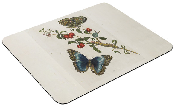 Podkładka Great Blue Butterflies and Red Fruits Maria Sibylla Merian 60x40cm