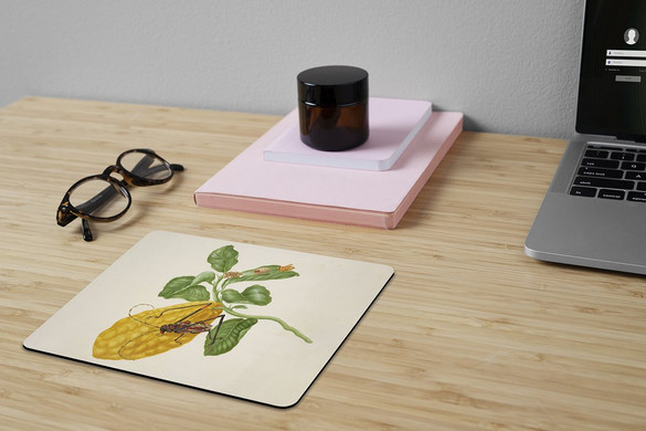 Podkładka Cytryna z gąsienicą małpy i chrząszczem harlekin Maria Sibylla Merian 24x19cm