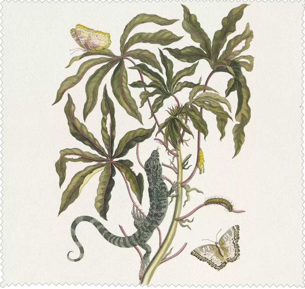 Ściereczka do okularów Cassave Maria Sibylla Merian