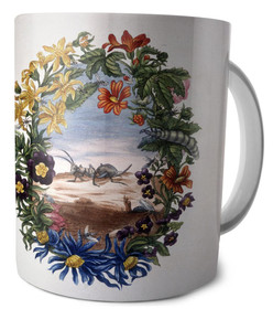 Kubek Fourmi Maria Sibylla Merian