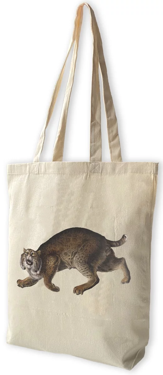 Torba bawełniana Common American Wildcat James Audubon