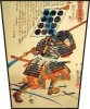 Samuraj Kiyokazu z naginatą