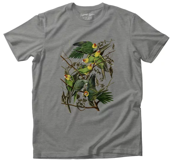 Koszulka Carolina Parakeet James Audubon