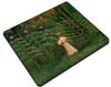 Woman Walking in an Exotic Forest
