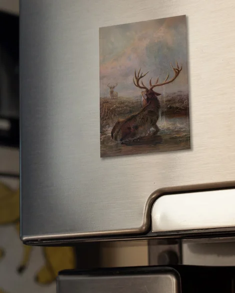 Magnes Interrupted Joseph Wolf