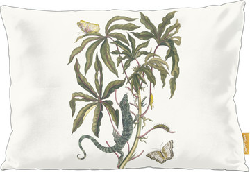 Poduszka Cassave Maria Sibylla Merian