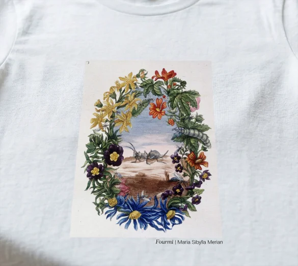 Bluzka damska Fourmi Maria Sibylla Merian