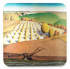 Fall Plowing