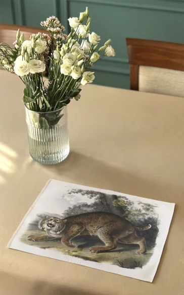 Podkładka na stół Common American Wildcat James Audubon