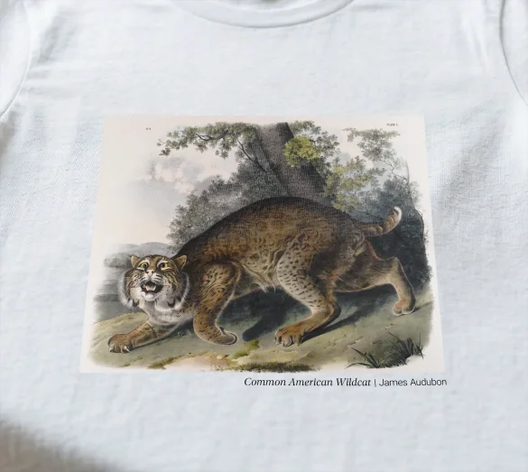 Koszulka z nadrukiem Common American Wildcat James Audubon