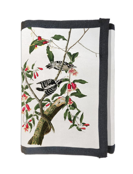 Portfel Downy Woodpecker  James Audubon