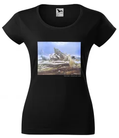 Bluzka damska Morze lodu Caspar David Friedrich