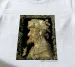 Koszulka z nadrukiem Jesień Giuseppe Arcimboldo