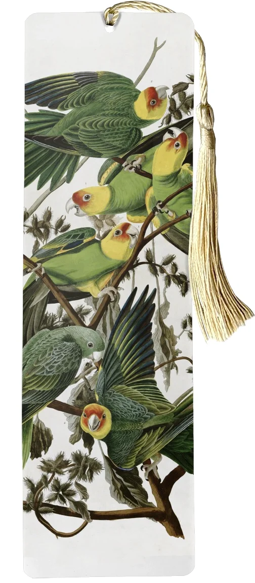 Zakładka do książki Carolina Parakeet James Audubon