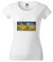 Bluzka damska Pole pszenicy z krukami Vincent Van Gogh