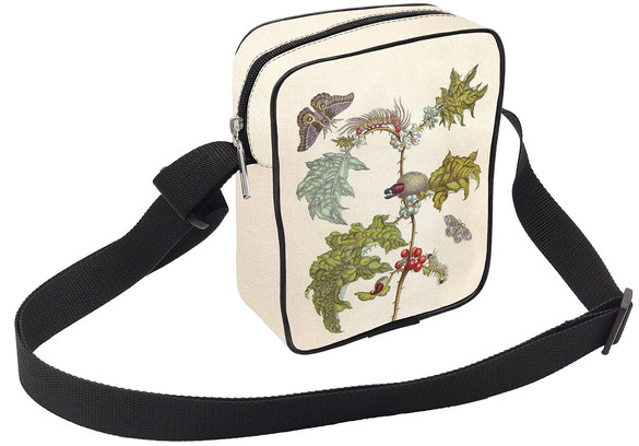 Torba listonoszka Metamorfoza owadów Surinamensium Maria Sibylla Merian