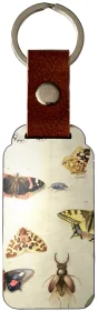 Brelok Studium owadów Jan van Kessel (starszy)