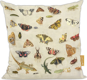 Poduszka Studium owadów Jan van Kessel (starszy)