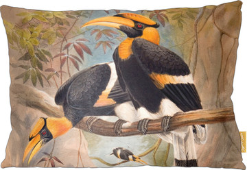 Poduszka Concave casque Hornbill Joseph Wolf