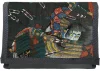 Bitwa pod Shijō Nawate