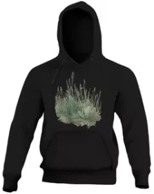 Bluza Studium traw Albrecht Dürer