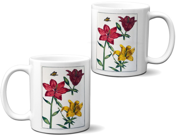 Kubek Lilia czerwona Maria Sibylla Merian