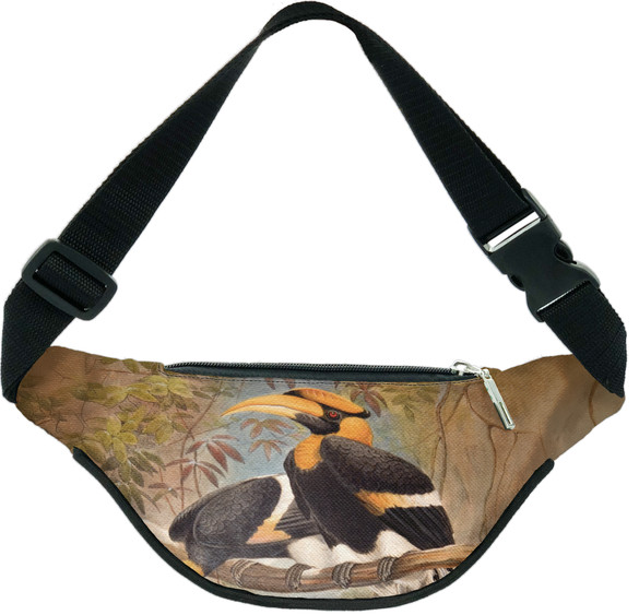 Nerka Concave casque Hornbill Joseph Wolf