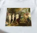 Koszulka z nadrukiem Sąd Parysa Peter Paul Rubens