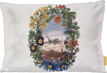 Poduszka Fourmi Maria Sibylla Merian