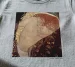 Koszulka z nadrukiem Danae Gustav Klimt