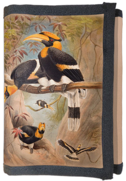 Portfel Concave casque Hornbill Joseph Wolf