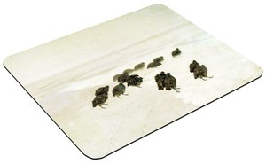 Podkładka Kuropatwy na śniegu Józef Chełmoński 60x40cm