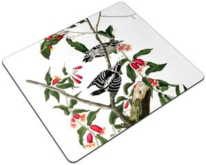 Podkładka Downy Woodpecker  James Audubon 24x19cm